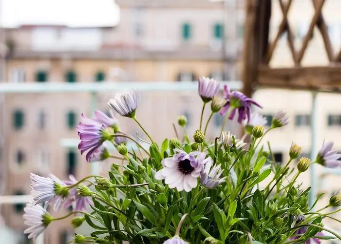 Torripacollection - Domus Vittoria - Prati 4*